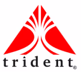 Trident Services logo
